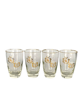 Load image into Gallery viewer, Vintage Rx Pharmacy Medical Cocktail Glasses Set