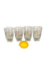 Load image into Gallery viewer, Vintage Rx Pharmacy Medical Cocktail Glasses Set