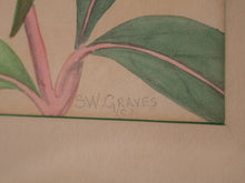Load image into Gallery viewer, Listed Artist, Shirrell Watson Graves, American(1884 - 1954)