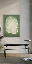 Load image into Gallery viewer, Peacock in White Frame