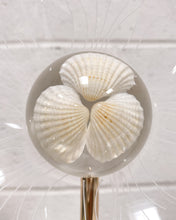 Load image into Gallery viewer, Modern LED Acrylic Flower Lamp with Center Shell Detail
