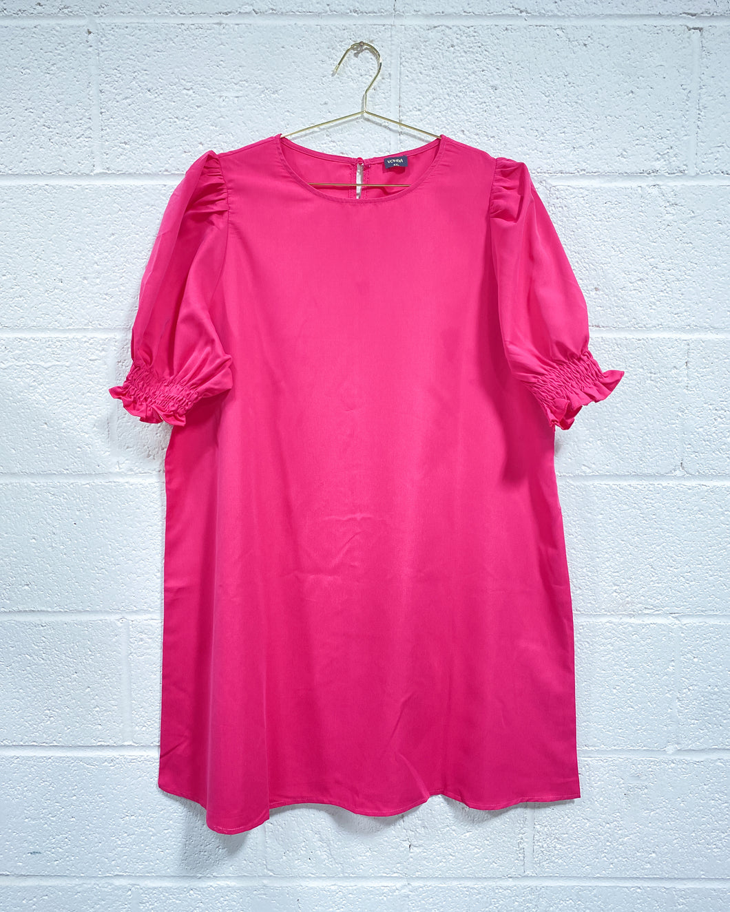 Bright Pink Dress (4X)