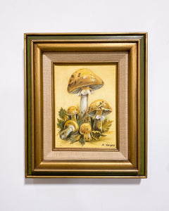 Vintage Mushroom Painting by N. Hayes