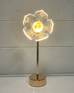 Modern LED Acrylic Flower Lamp with Center Shell Detail