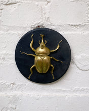 Load image into Gallery viewer, Gold Beetle Wall Hanging
