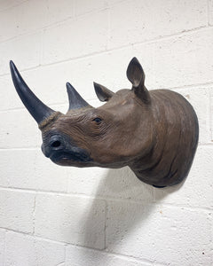 Large Rhino Head Wall Hanging