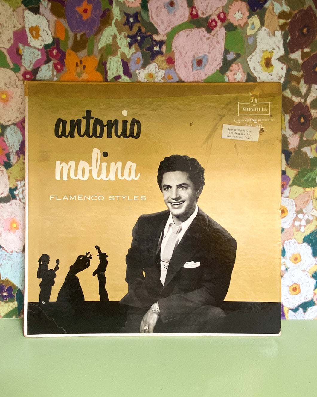 Antonio Molina Flamenco Styles