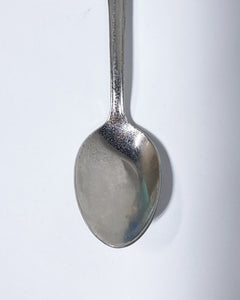 Oregon Beaver State Souvenir Spoon