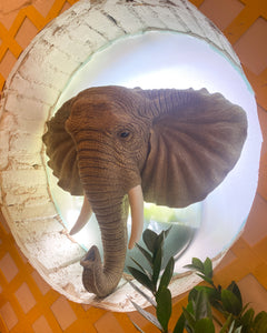 Large Elephant Head Wall Hanging