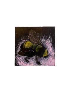 Sonoran Bumble Bee