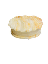 Load image into Gallery viewer, Alabaster Shell Trinket Box

