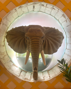 Large Elephant Head Wall Hanging