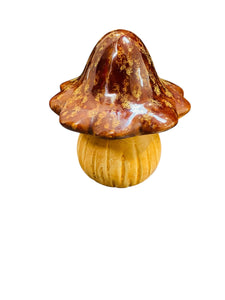 Brown Top Fungi