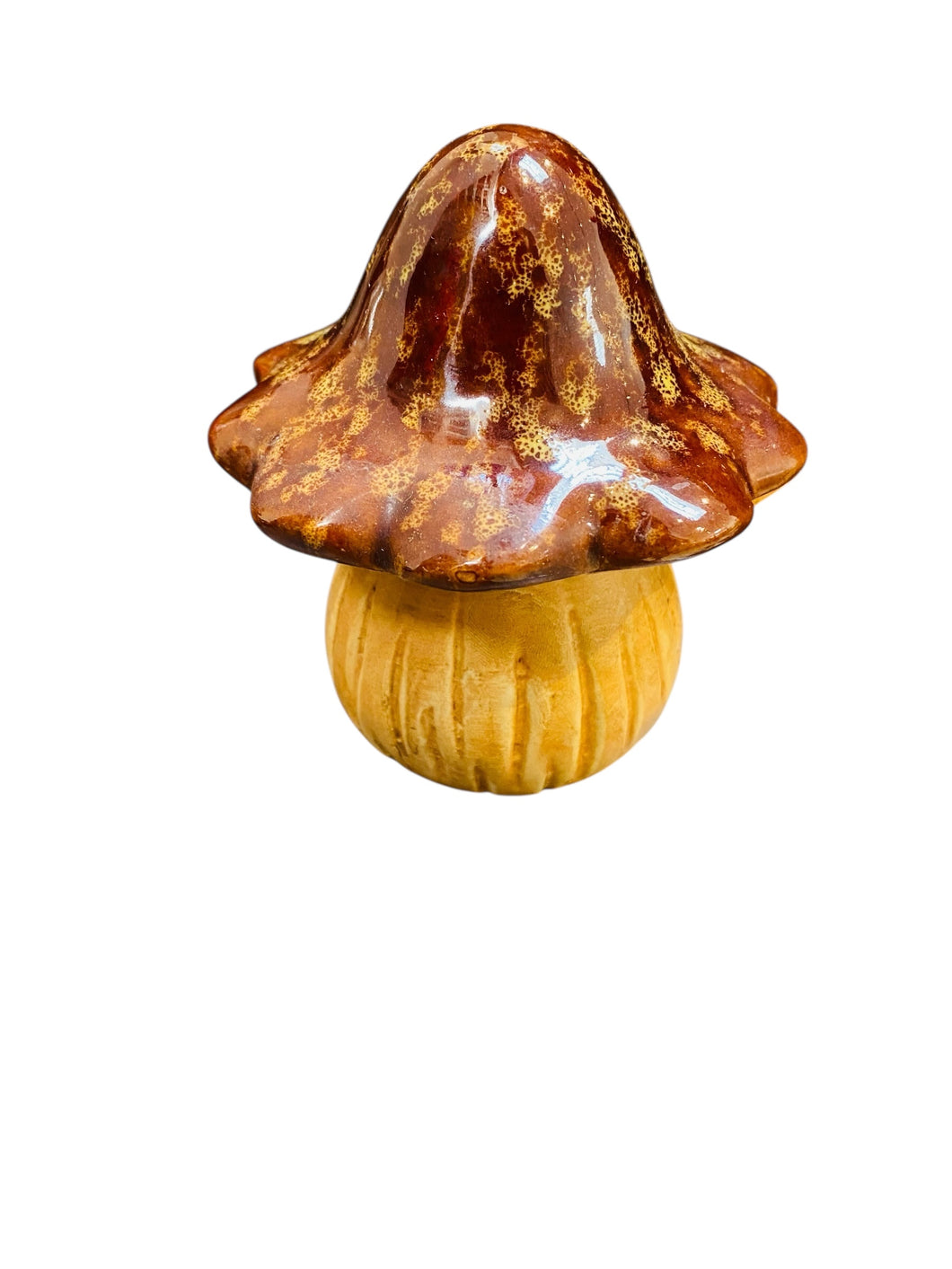 Brown Top Fungi