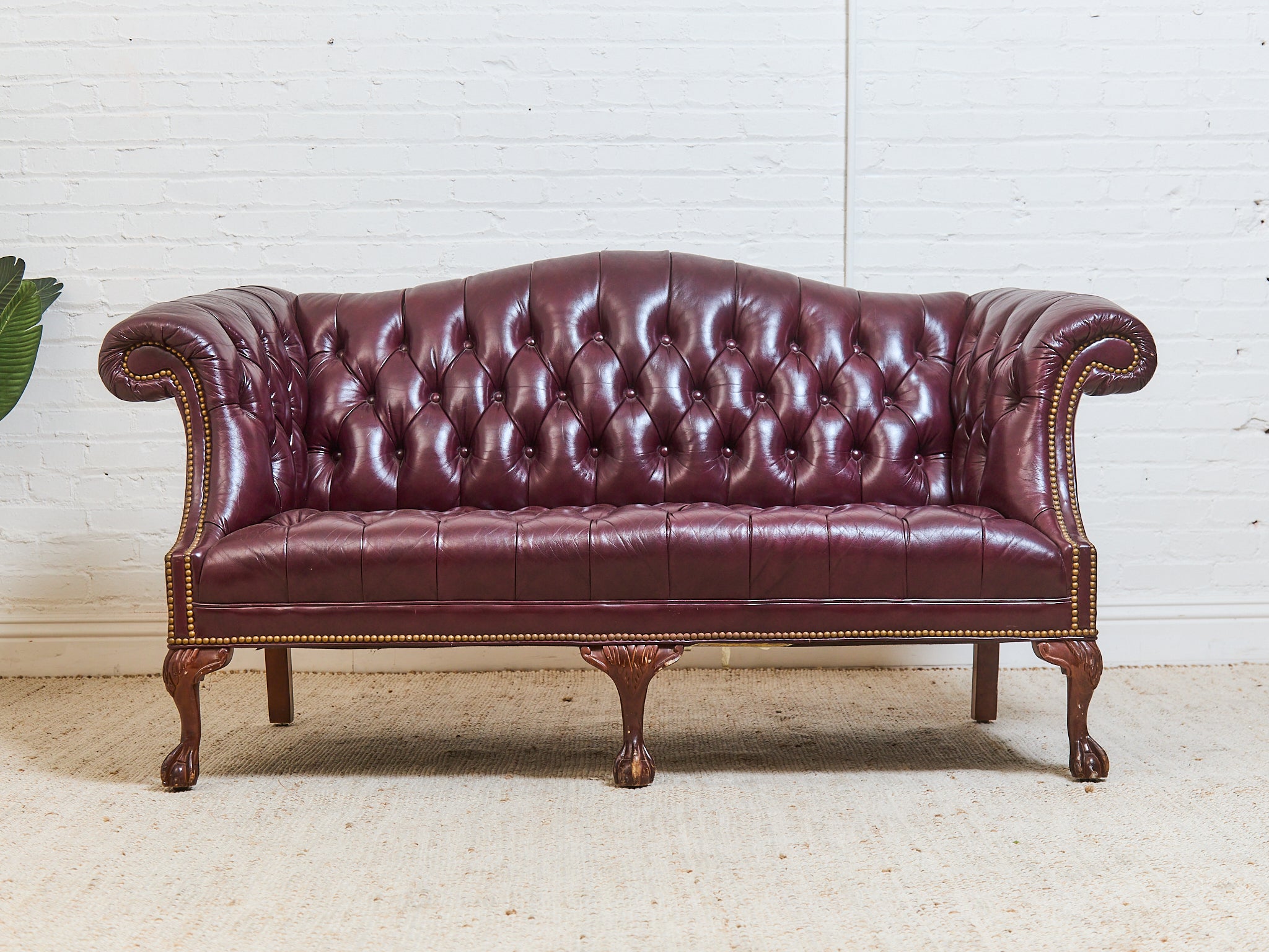 Shop The Latest | The Living Room Collection | Sunbeam Vintage – Sunbeam  Vintage, image size:2048x1536