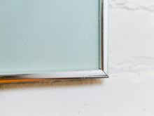 Load image into Gallery viewer, Vintage Duck Print Framed
