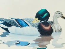 Load image into Gallery viewer, Vintage Duck Print Framed
