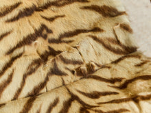 Load image into Gallery viewer, Antique 1800’s RW Winfield Tiger Fur Rocking Chair
