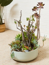 Load image into Gallery viewer, Large White Mid Century Planter with Succulents

