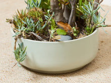 Load image into Gallery viewer, Large White Mid Century Planter with Succulents
