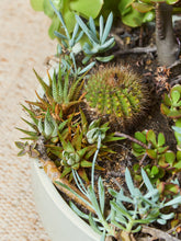 Load image into Gallery viewer, Large White Mid Century Planter with Succulents
