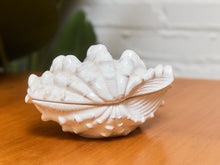 Load image into Gallery viewer, Large White Ceramic Seashell

