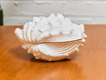 Load image into Gallery viewer, Large White Ceramic Seashell
