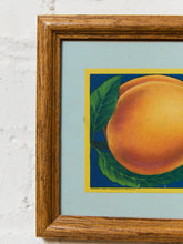 Load image into Gallery viewer, Margaret Arkansas Peaches

