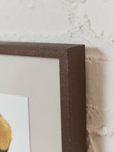 Load image into Gallery viewer, Artist Teale Hatheway Set of 4
