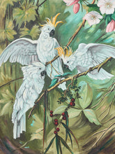 Load image into Gallery viewer, Vintage Tropical Bird Wall Art White Cockatoos Signed 1977
