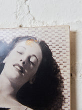 Load image into Gallery viewer, Hollywood Starlett with Mr. Too Cool
