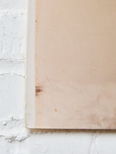 Load image into Gallery viewer, Hollywood Starlett
