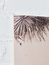 Load image into Gallery viewer, California Living Hollywood Photo
