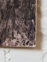 Load image into Gallery viewer, California Living Hollywood Photo
