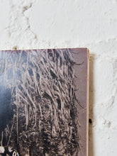 Load image into Gallery viewer, California Living Hollywood Photo
