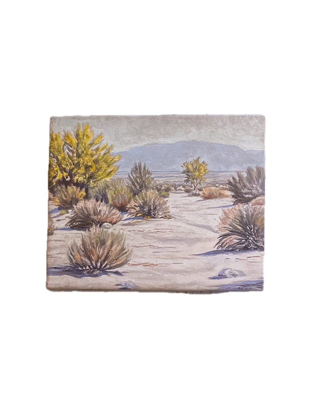 Desert Landscape, Print in Canvas