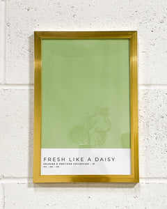 Fresh Like a Daisy