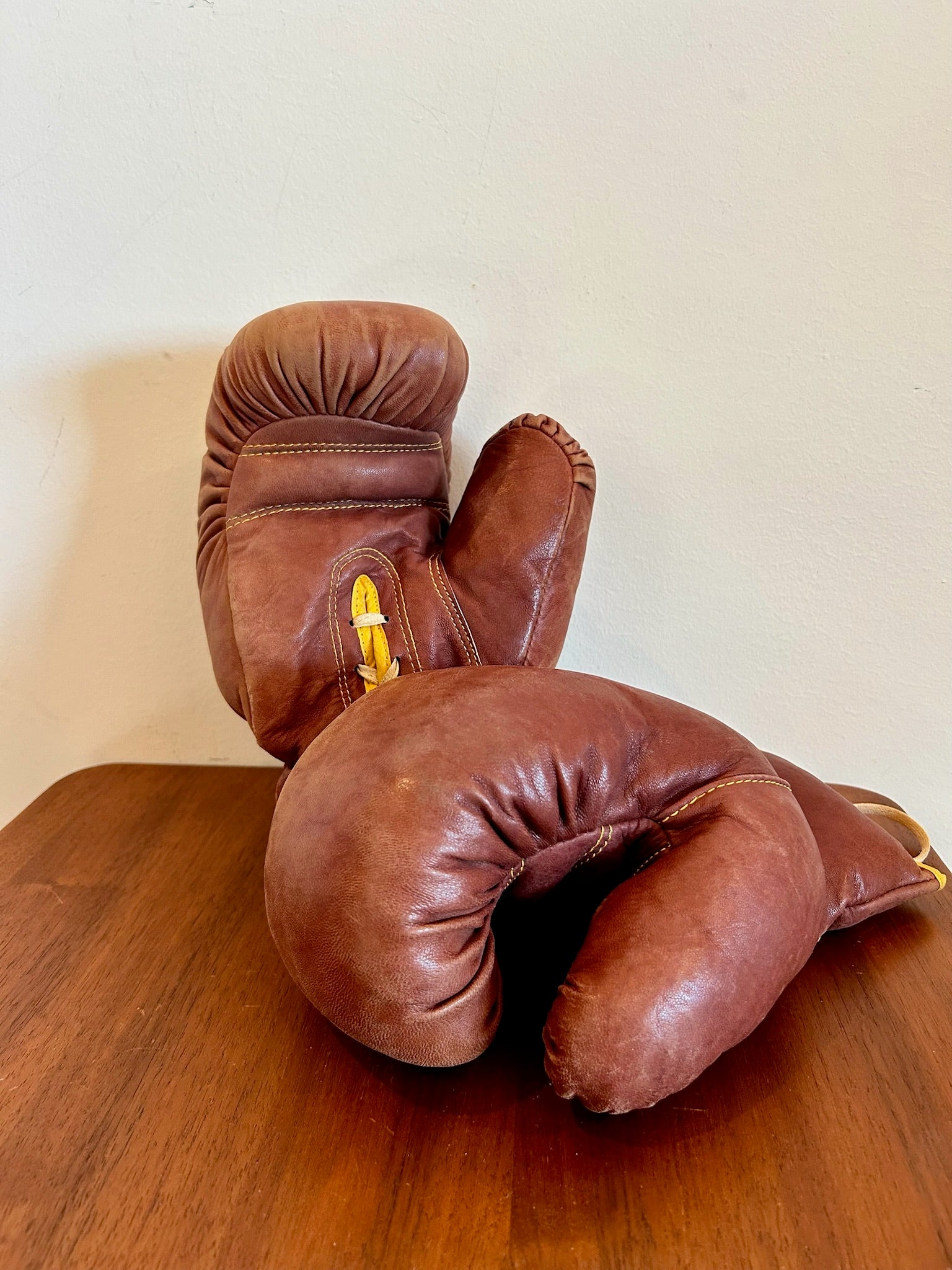 boxing gear Vintage Leather Boxing Gloves