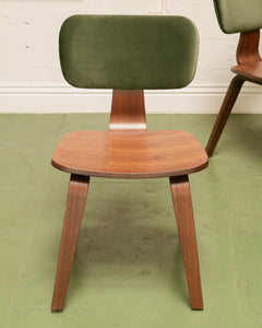 Bent Wood Dining Chair in Olive