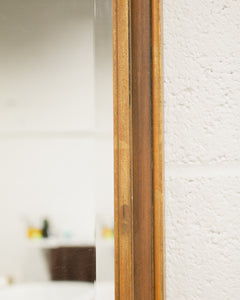 Gold Ornate Rectangle Mirror