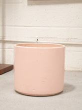 Load image into Gallery viewer, Peach Gainey Pot
