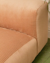 Load image into Gallery viewer, Bailey Daybed in Blush Corduroy
