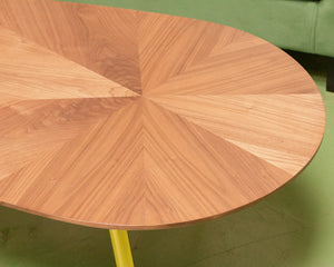 Tear Drop Modern Coffee Table