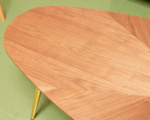 Tear Drop Modern Coffee Table