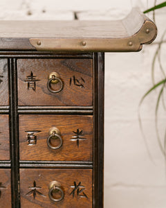 19th Century Antique Asian Medicine Cabinet