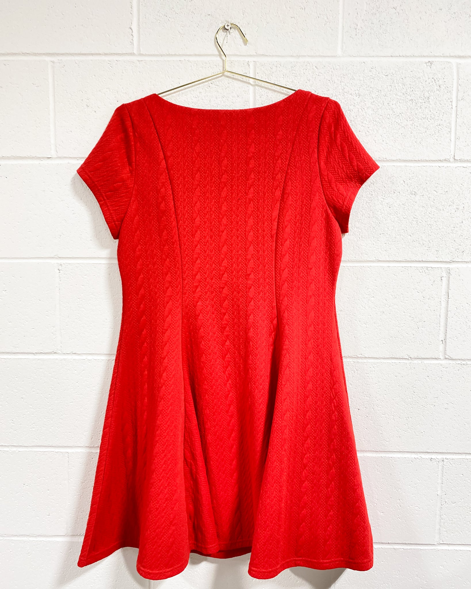 Little Red Dress by Torrid (1) Sunbeam Vintage Little Red Dress by Torrid (1) Sunbeam Vintage