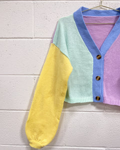 Color Block Cardigan in Pastels (L)