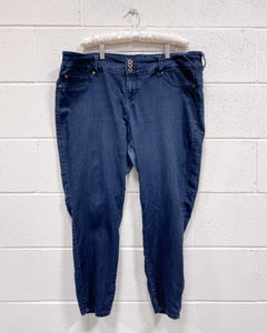 Torrid Blue Denim Pants (22 S)