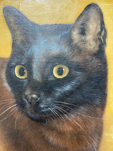 Black Kitty Painting by N. Carlyle