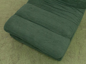 Green Lounger with Ottoman